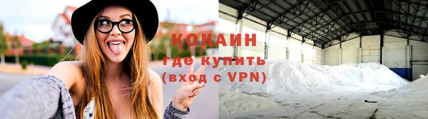 прущие грибы Каменногорск