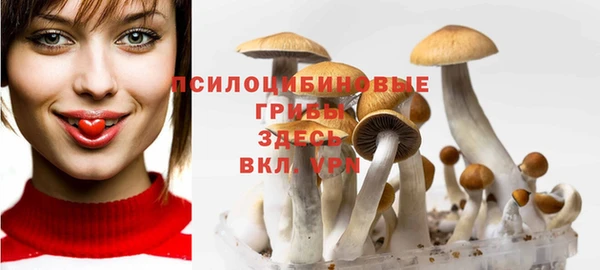 шишки Покровск