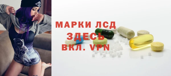 apvp Магадан