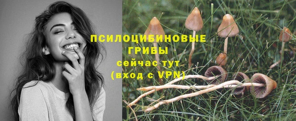 таблы Каменск-Шахтинский