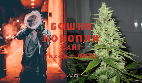 шишки Покровск