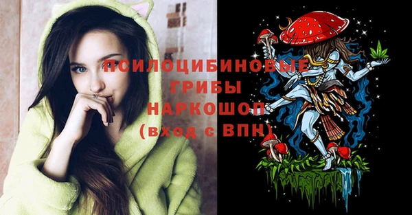 шишки Покровск