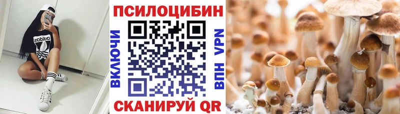 Галлюциногенные грибы Magic Shrooms  Котовск 
