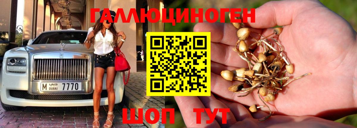 Галлюциногенные грибы прущие грибы  Галлюциногенные грибы мицелий  Вход с VPN  где можно купить наркотик  Котовск 